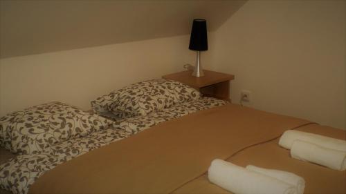 a bed with two pillows and a lamp in a room at Hostinské pokoje U Kulináře in Domažlice