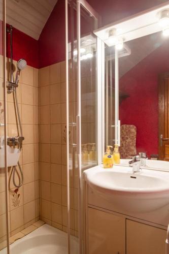 a bathroom with a sink and a shower at La grange - 4/6 personnes in Saint-Pierre-de-Nogaret