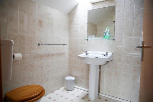a bathroom with a sink and a toilet at Killeena House in Baltimore