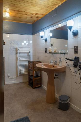 a bathroom with a sink and a mirror and a shower at La maison d'anna in Langogne