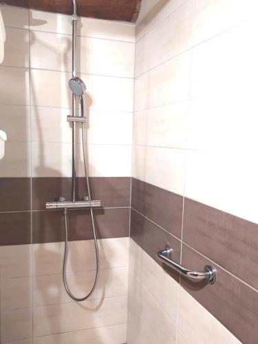 a shower with a hose in a bathroom at La drosera in Lajo