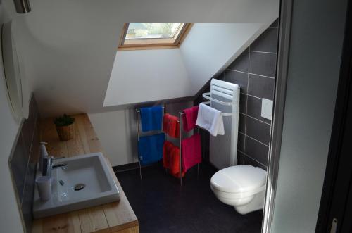 a small bathroom with a toilet and a sink at Gîte les falaises à barjac in Barjac