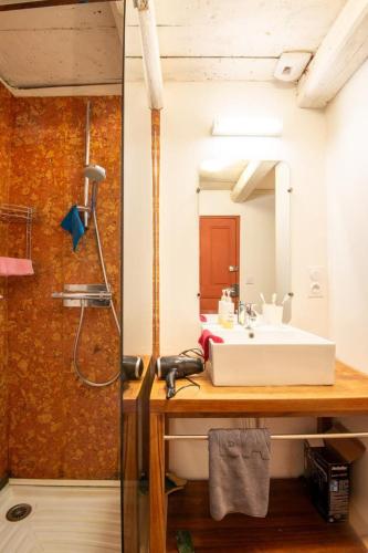 a bathroom with a sink and a mirror at Le gite de granade in Barjac