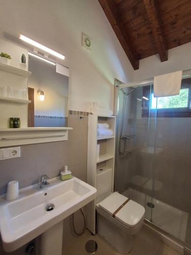 a bathroom with a sink and a shower and a toilet at El Cuadron in Camango