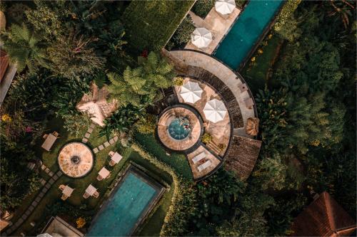 Munduk Moding Plantation Nature Resort — Swimming pool