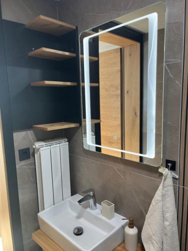 a bathroom with a sink and a mirror at Apartmaji pri Mojci in Podvelka