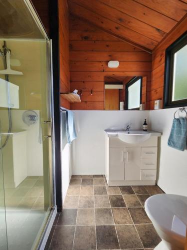 a bathroom with a shower and a sink at Ruapehu Farm Chalet in Ohakune