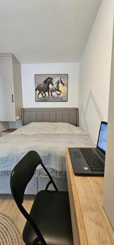 a bedroom with a bed and a desk with a laptop at Valena 1 - Divčibare Free private Parking in Divčibare