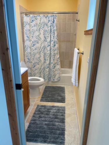 a bathroom with a toilet and a shower at Silver Dollar Tree in Kealakekua