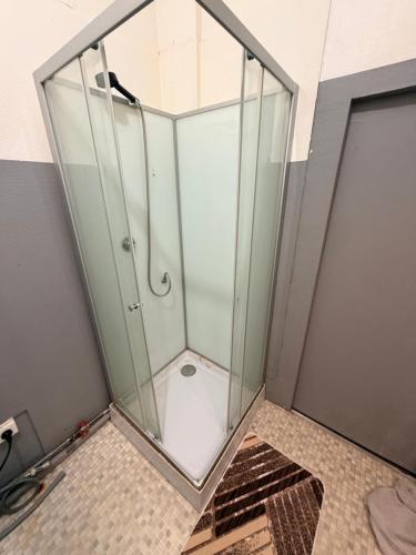 a shower with a glass enclosure in a bathroom at Gengoult 1 in Toul