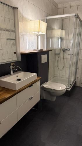 a bathroom with a shower and a toilet and a sink at Moseloase am Weinberg mit Pool und Sauna in Bullay in Alf