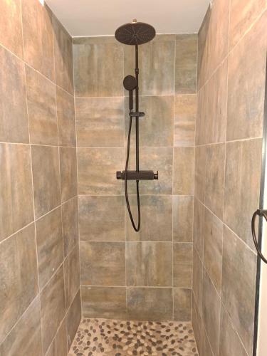 a shower with a shower head in a bathroom at House Sawubona in Kroonstad