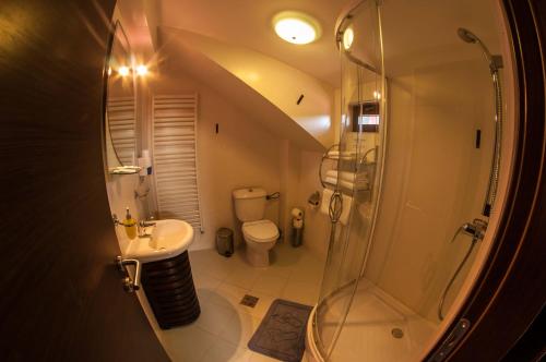 a bathroom with a shower and a toilet and a sink at Pensiunea Carpatic Trei Brazi Predeal in Predeal