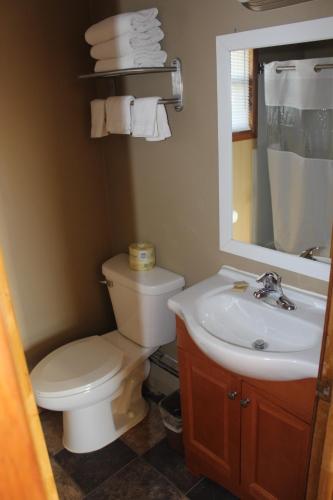ein Badezimmer mit einem WC, einem Waschbecken und einem Spiegel in der Unterkunft Eastwood Inn of Wadena in Wadena