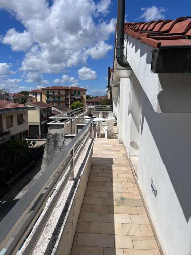 Hotel Alex