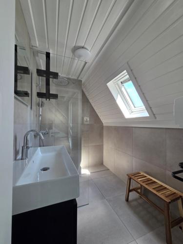 a bathroom with a sink and a skylight at Groene Specht 16 in Gramsbergen