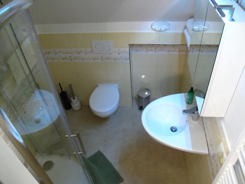 a bathroom with a toilet and a sink and a shower at Apartmány na hájovně in Jeseník