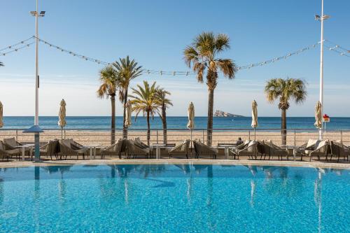 a swimming pool next to a beach with palm trees at Hotel Cimbel in Benidorm