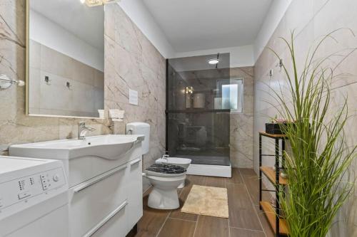 a bathroom with a sink and a toilet and a shower at Koky in Juršići