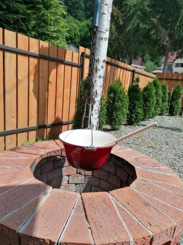 a bowl of water is being poured in a garden at MATT'S House in Tuşnad