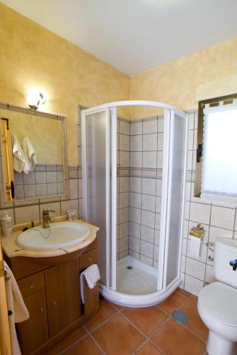 a bathroom with a shower and a sink at Casa Del Palacio in Aguilafuente