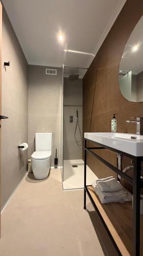 a bathroom with a toilet and a sink and a shower at HS Olivos in Alcalá del Júcar