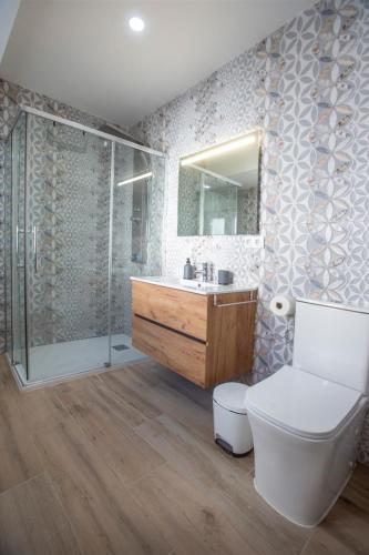 a bathroom with a toilet and a sink and a shower at Hogar de la plata in Sanlúcar de Barrameda