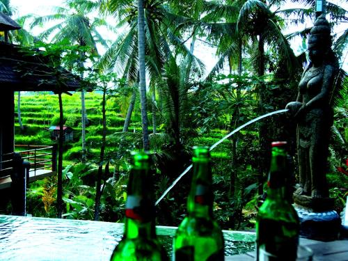Jardín al aire libre en Junjungan Suite