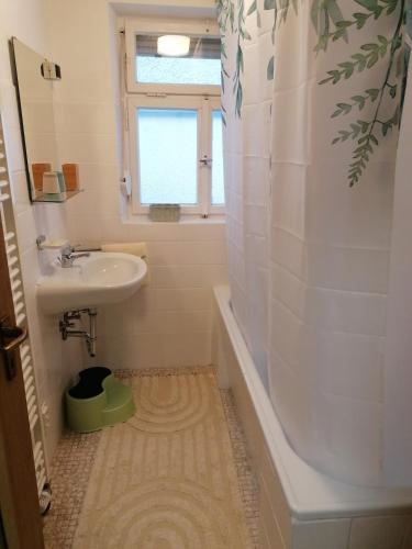 a bathroom with a sink and a tub and a shower at Thomas Haus 1 in Günzburg