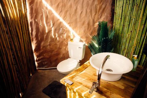 a bathroom with a sink and a toilet at Nama-Qua Game Reserve in Vredendal