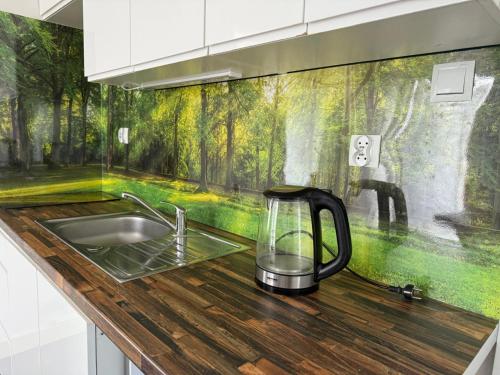 a kitchen counter with a sink and a forest mural at Domek nad jeziorem in Kruklanki