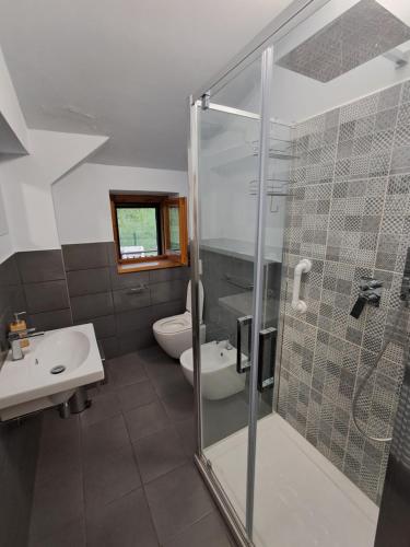a bathroom with a shower and a toilet and a sink at Casa Tritapepe in Torricella Peligna