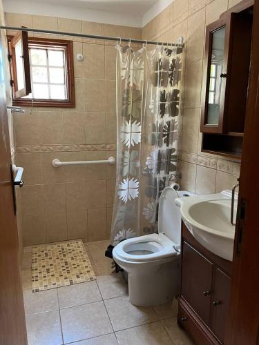 a bathroom with a toilet and a shower and a sink at The Citrus Valley in Pissouri