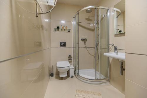 a bathroom with a shower and a toilet and a sink at Woodland Apartment in Silver Mountain Resort in Poiana Brasov