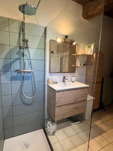 a bathroom with a sink and a shower at Maison Périgourdine familiale in Saint-Jean-dʼEyraud