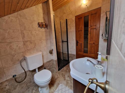 a bathroom with a toilet and a sink at Wild River Cottage in Lissa