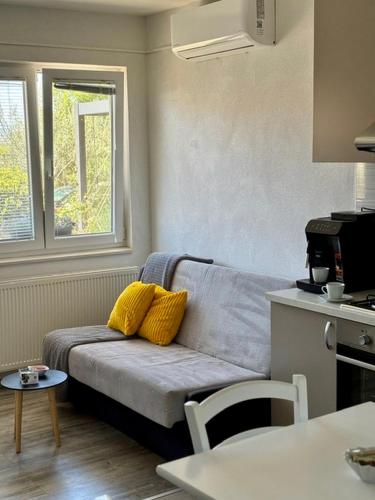a living room with a couch and a kitchen at Rural Apartment Ante in Drniš