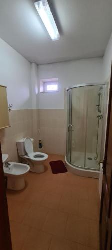 a bathroom with a shower and a toilet and a sink at Casa Regina Pacis in Vărvăreuca
