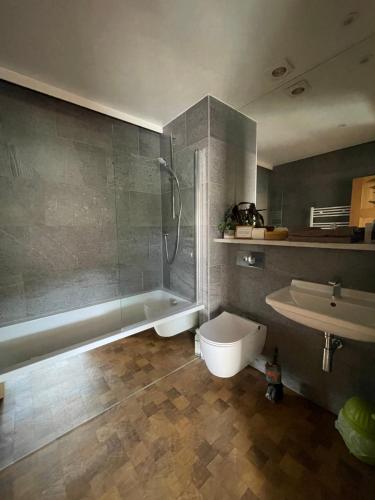 a bathroom with a shower and a toilet and a sink at "The Studio" Contemporary studio with organic swimming pool in Skelsmergh