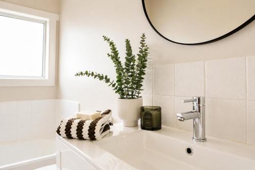 a bathroom with a white sink with a potted plant at Central 3BR Heritage Home Walk to Sovereign Hill & CBD Free Parking in Ballarat