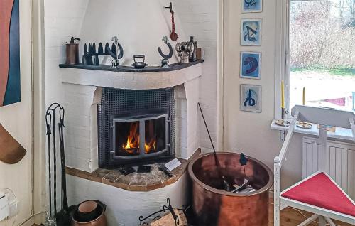 a fireplace in a living room with a stove at Cozy Home In Sölvesborg With Wifi in Sölvesborg