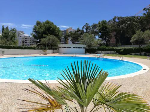 Alltravel Torre Verde X