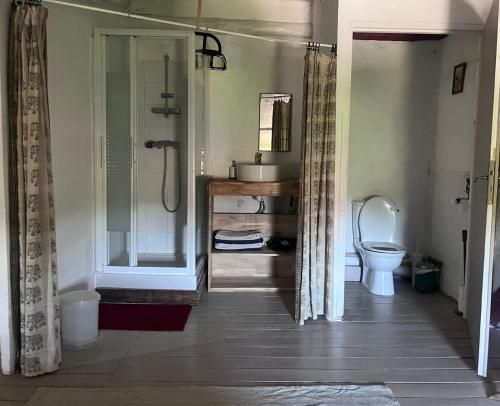 a bathroom with a shower and a toilet in it at Chambres et table d'hôtes Au Brabo in Mormoiron