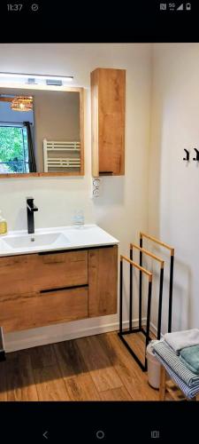 ein Badezimmer mit Waschbecken und Spiegel in der Unterkunft Chambres et tables d'hôtes Cornec in Ploubazlanec