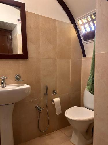 a bathroom with a sink and a toilet and a mirror at Traditional Houseboat in Alleppey