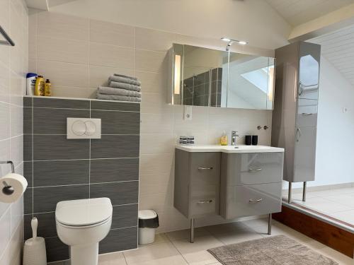 a bathroom with a toilet and a sink and a mirror at Charmante maisonnette avec piscine partagée in Charancieu