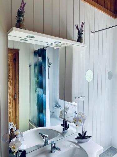 a bathroom with a sink and a mirror at Extertal Ferienpark Sauna Wald 51 in Extertal