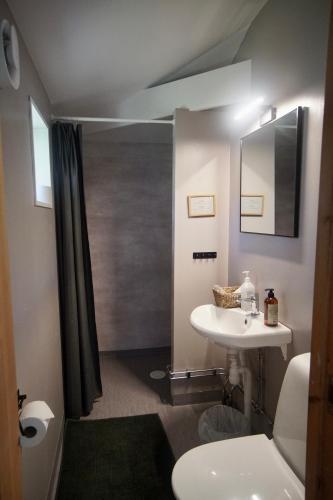 ein Badezimmer mit Waschbecken, Toilette und Spiegel in der Unterkunft Skårs gård in Fjärås