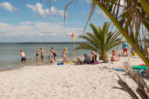 a group of people playing on the beach at Frederikshavn Nordstrand Camping & Cottages in Frederikshavn