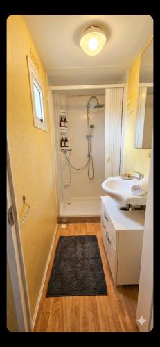 a bathroom with a shower and a sink at Bungalow Resort Ameglia in Ameglia